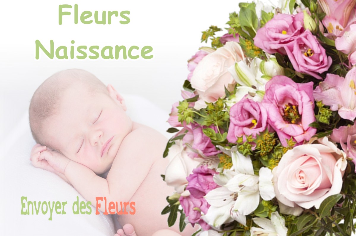 lIVRAISON FLEURS NAISSANCE à LA-COMBE-DE-LANCEY